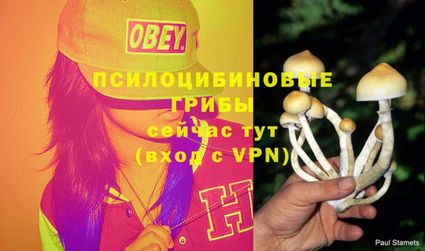 а пвп мука Абинск