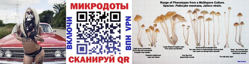 кракен зеркало  Агидель  Псилоцибиновые грибы MAGIC MUSHROOMS 